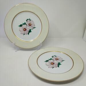 Kent Tropical Pattern Set of 2 Dinner Plates 10 5/8" Occupied Japan Vintage 1950